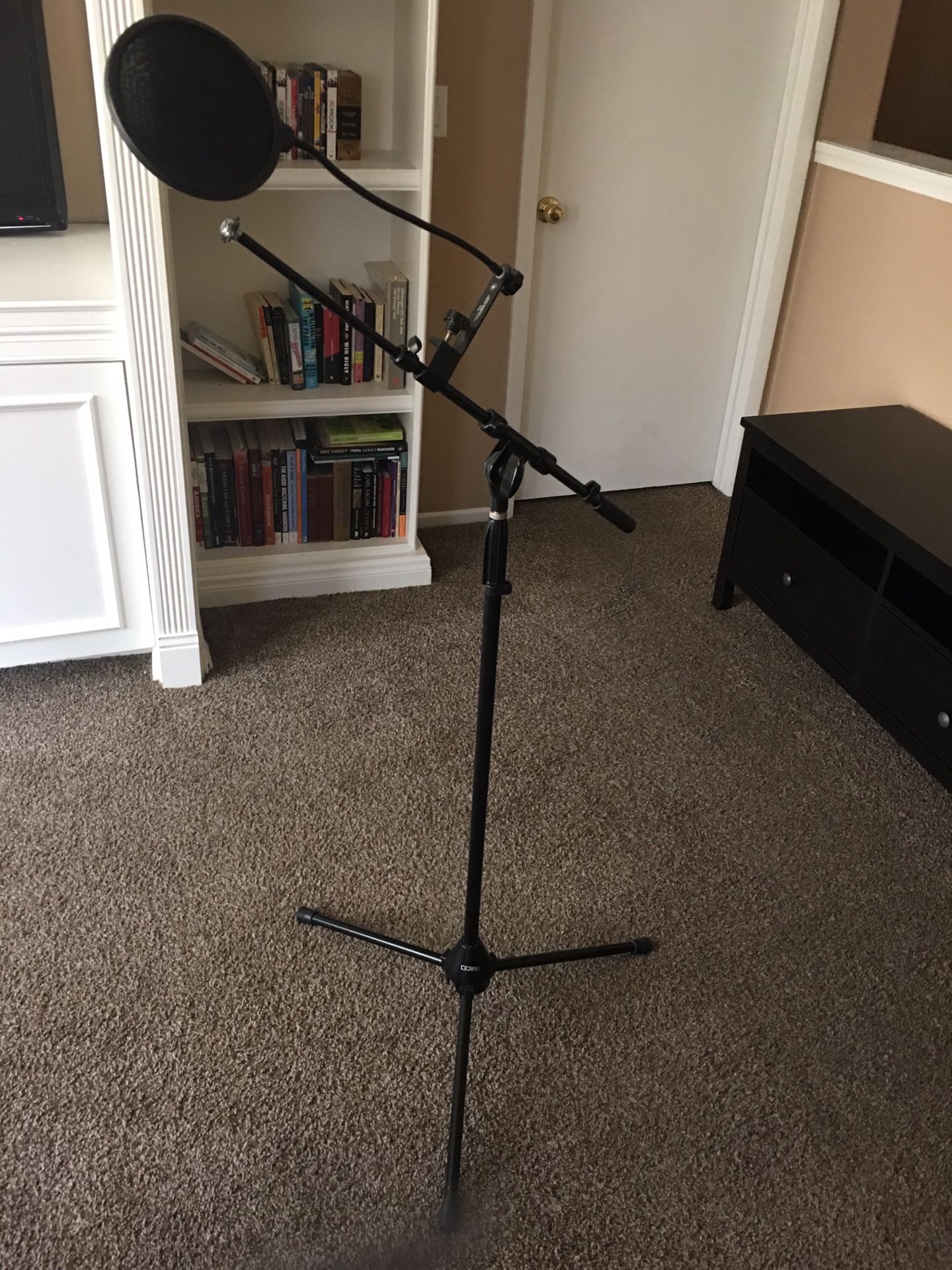 Mic stand (with boom arm and pop filter)