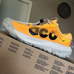 Nike ACG Mountain Fly 2 Low