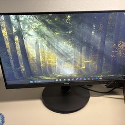 Philips 22in Computer Monitor
