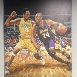 Mamba Vs Mamba Canvas  30x40