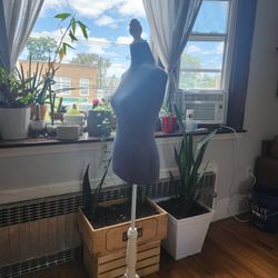 Maniqui O Torso De Maniqui 