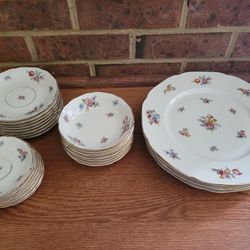 Barvarian Tirschemre "The Colwyn" China Dinnerware