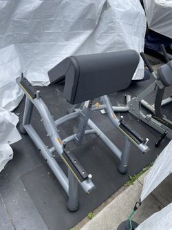 Matrix Standing Preacher Curl Bench Station