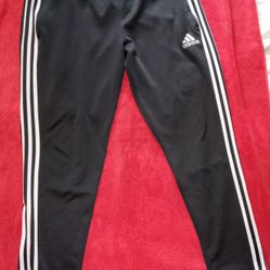 Adidas Pants