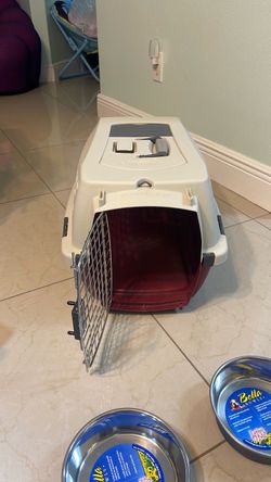 case for dog