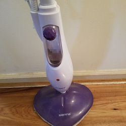 STEAM CLEAN YOUR FLOORS, SAFE "HOT" STEAM, PAID $129. TAKE $75.
