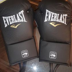 Everlast Pro Mx Gloves 8oz