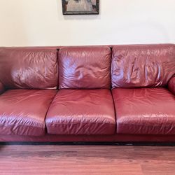 King Leather Sleeper Sofa