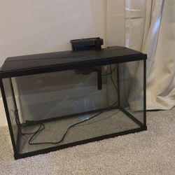 10 gallon aquarium