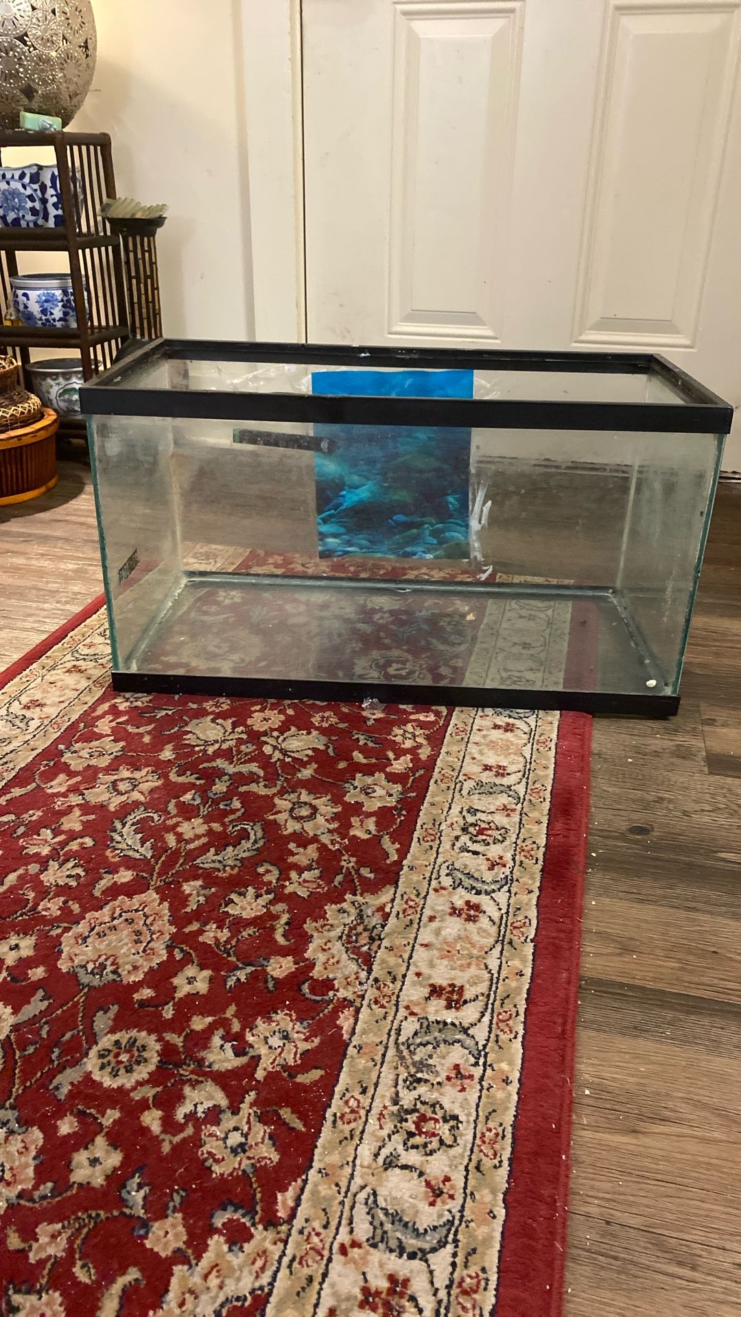 Reptiles Or Fish Tank