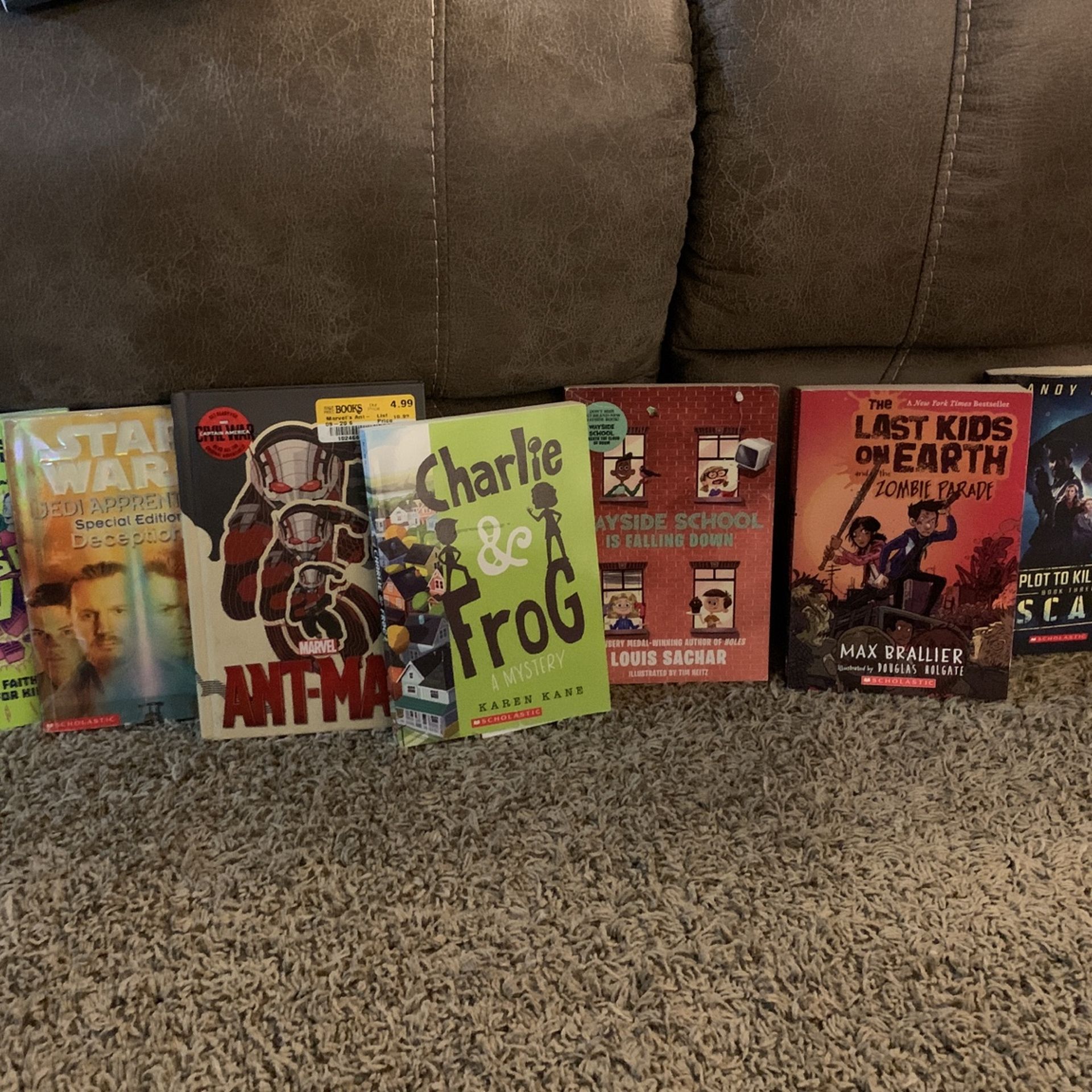 Chapter Books