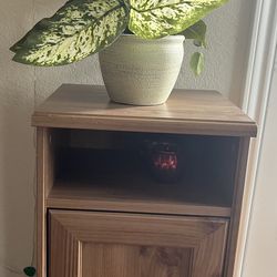 Side Table W/ Fake Plant 