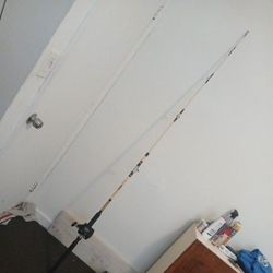 Fishing Rod With Pool