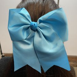 Robin Blue Cheer Bow