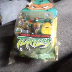 Turtles