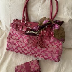 Coach Handbag And Wallet