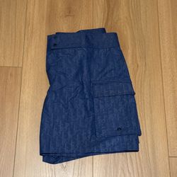 Men’s Dior Swimwear 