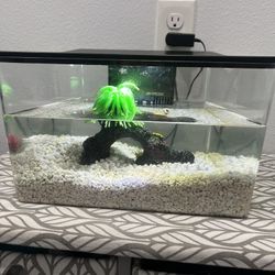 3GAL Fish Tank