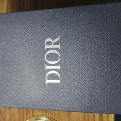 Dior B22 Blue And Grey Shoes. 