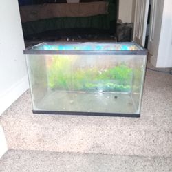 Small Corner Fish Tank