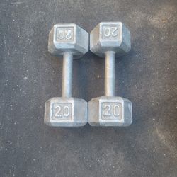 20lbs Dumbells