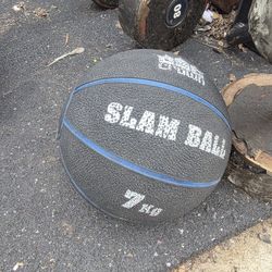 7kg (15lb) Slamball 