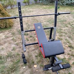 Golds Gym XR-10 FID Bench ( Flat, incline ,decline) Leg Attach & Preacher Curl 