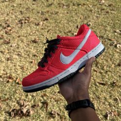 Nike Dunk Solar Red Seaweed