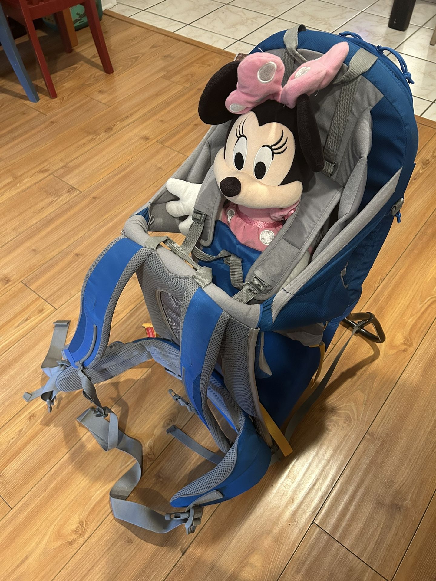 Kelty Kids Hiking Backpack