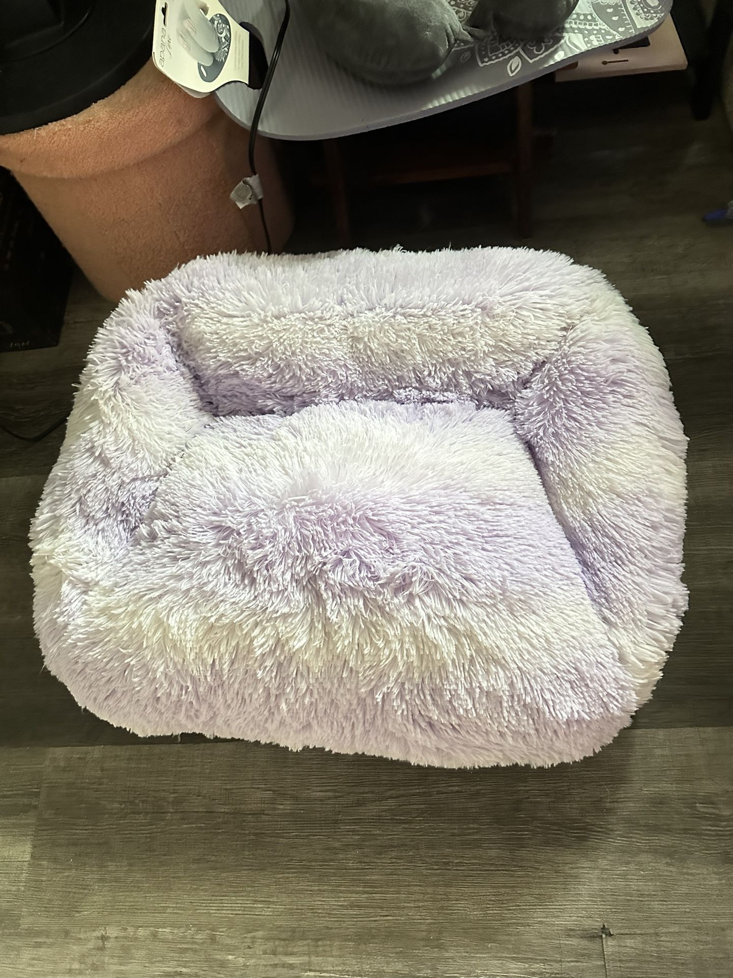 Pet Couch 