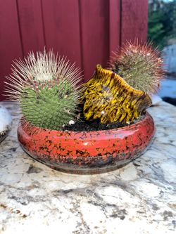 2 for $24 or 1 for $12 - Modern Desert Cactus Planter – Sculptural Ceramic Arrangement