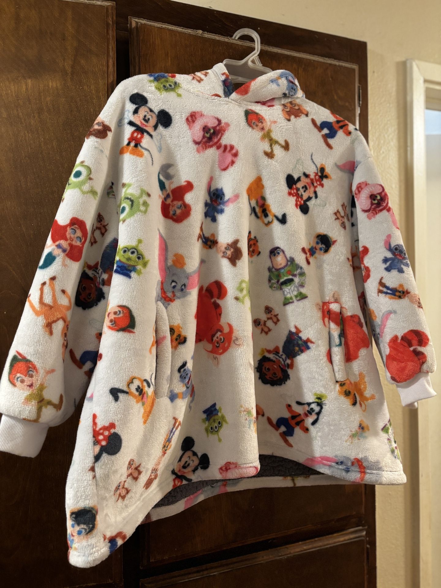Disney 100 Year Anniversary Poncho
