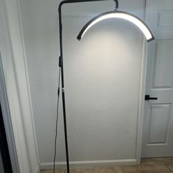 Large Crescent Moon LED Floor Lamp 