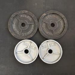 35lb And 25lb Weight Plate Bundle