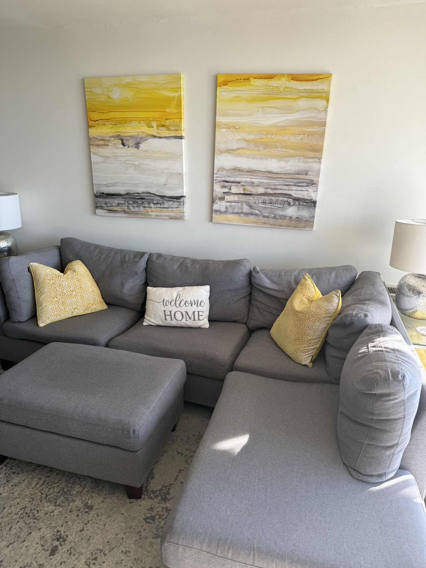 Grey Sectional Couch