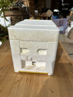Bee Honey Box New