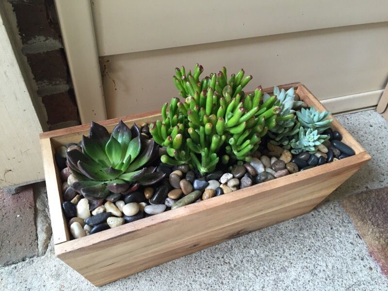 Handmade Succulent Centerpiece