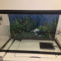 29 Gallon Reptile Tank With Lid And UTH
