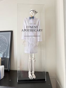 32” tall Anatomy Skeleton