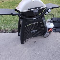 Q3200 Weber Bbq Grill 