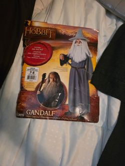 Wizard Costume Gandalf the Grey