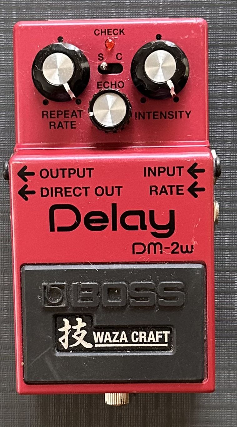 Boss Waza Craft DM-2w Delay