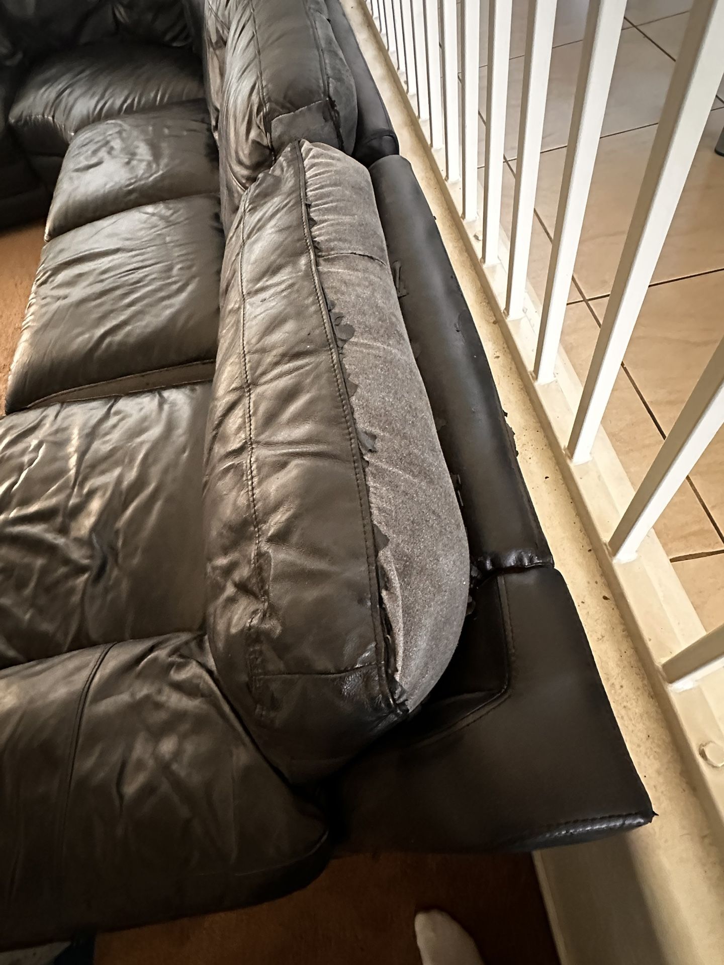 Free Sectional