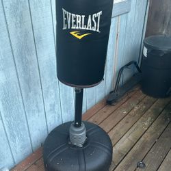 Everlast Punching Bag / Stand 