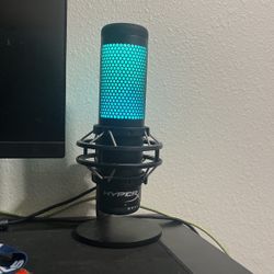 Computer Mic 