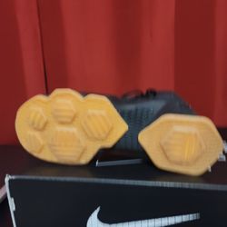Nike LeBron 13 Black Lion