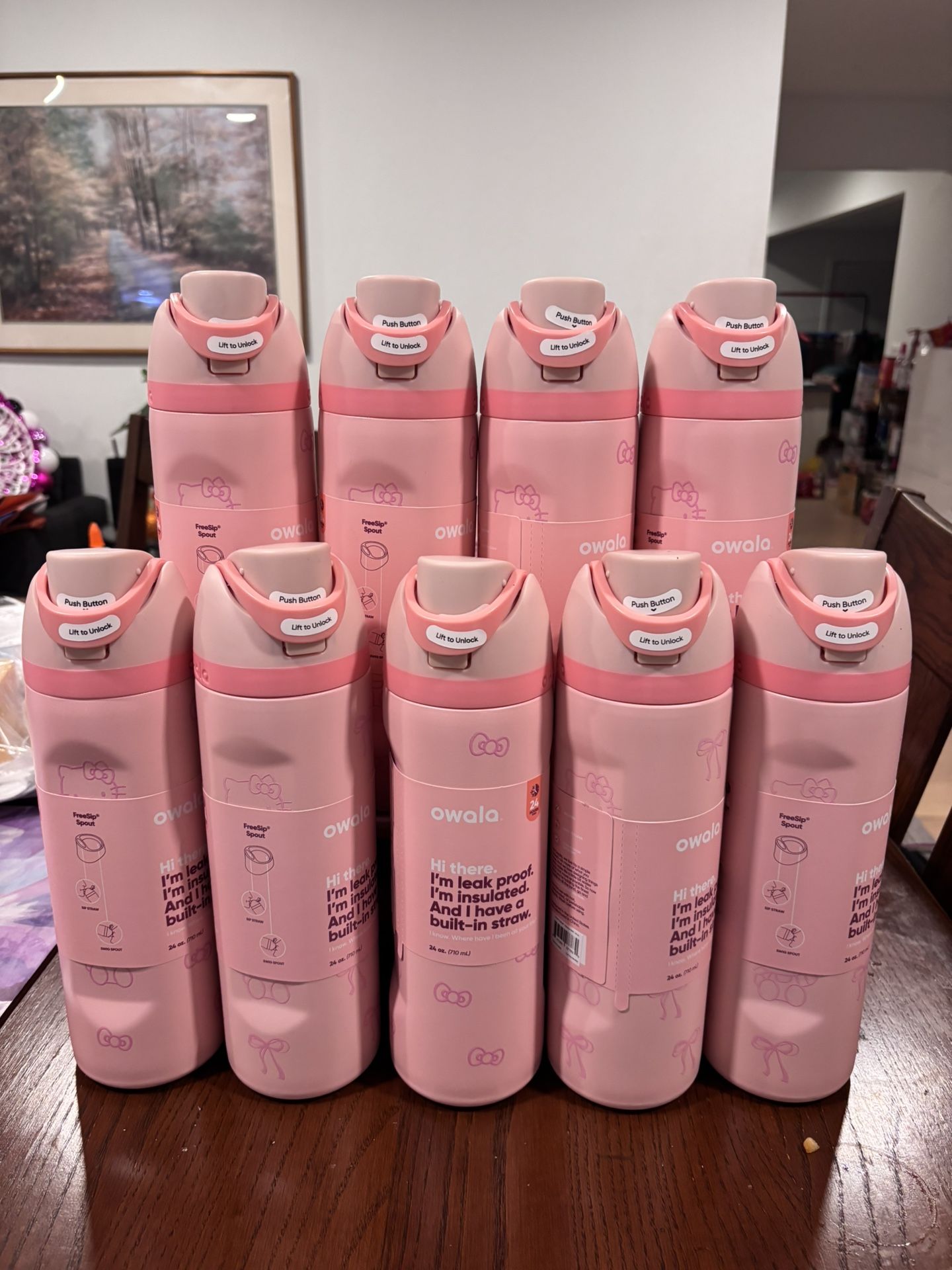 24oz Hello Kitty Owala Water Bottles