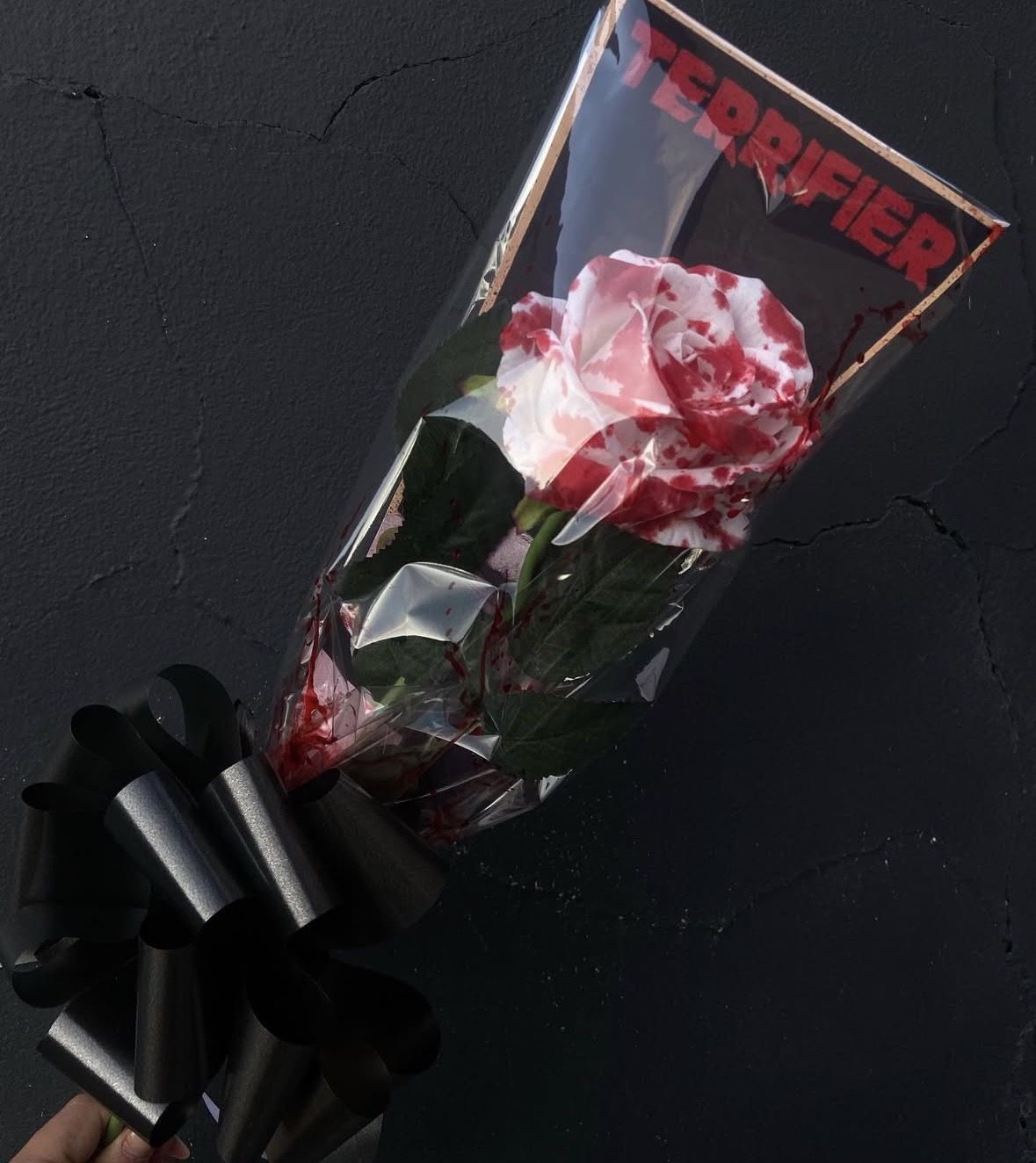 Terrifier rose
