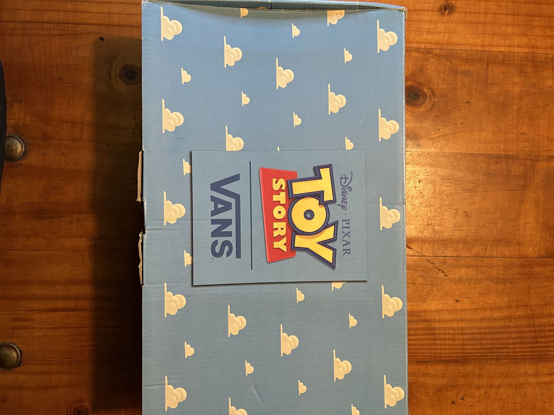 Toy Story Vans DS Woody 10.5