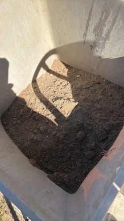 Free  free free dirt for plants